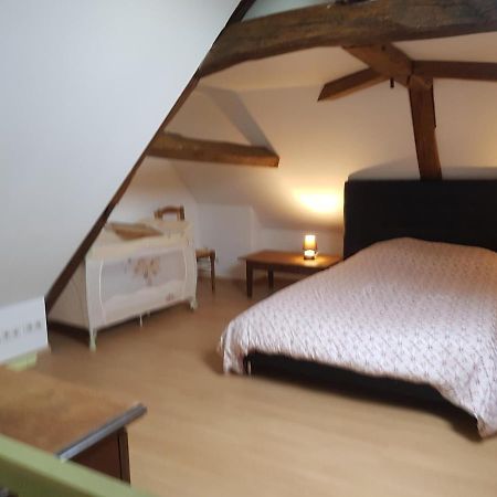 Chez Laiko Wifi Gratuit Βίλα Beaulieu-sur-Loire Εξωτερικό φωτογραφία