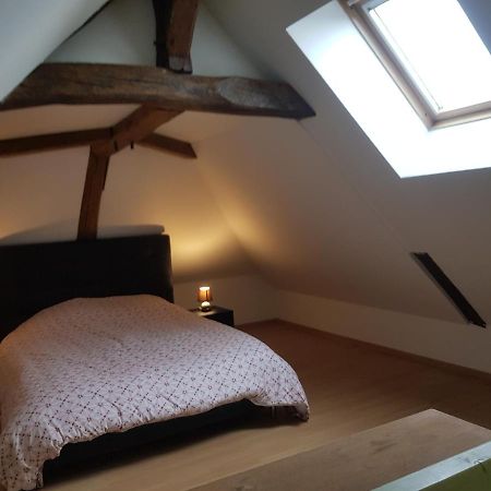 Chez Laiko Wifi Gratuit Βίλα Beaulieu-sur-Loire Εξωτερικό φωτογραφία
